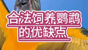 目前国内可以合法饲养的七种鹦鹉
