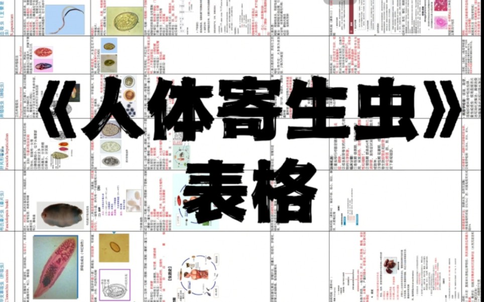 《人体寄生虫学》笔记速速收藏寄生虫表格免费分享医学寄生虫学哔哩哔哩bilibili