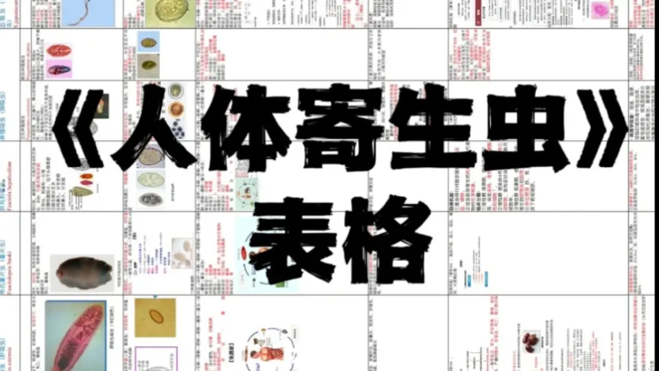 人体寄生虫学》笔记速速收藏寄生虫表格免费分享医学寄生虫学_哔哩哔哩_ 