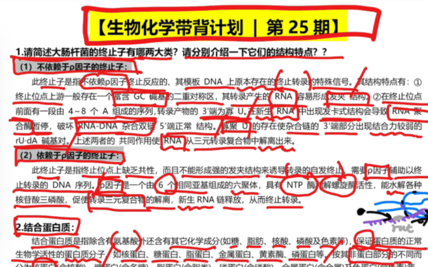 【生物考研必看】生物化学带背计划|第25期|大肠杆菌终止子的种类|结合蛋白质|名词解释|简答题|每天更新2个重要考点~哔哩哔哩bilibili