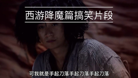 看一次笑一次 听没听说过花果山十三太保 哔哩哔哩 つロ干杯 Bilibili