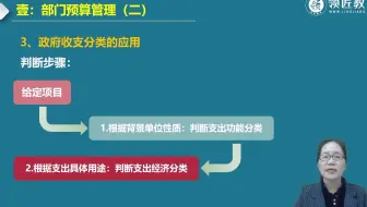 高级会计实务：政府收支分类的应用