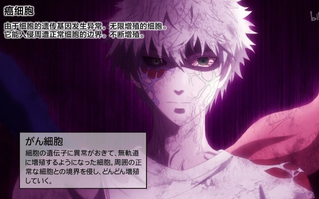 北风水母的个人空间 哔哩哔哩 Bilibili