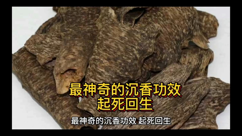 最神奇的沉香功效—竟然是起死回生!