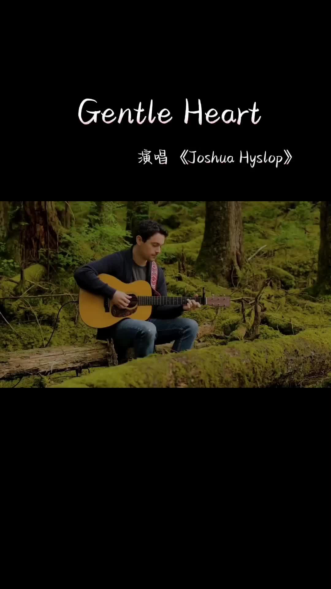 《joshua hyssop》一首温柔情歌