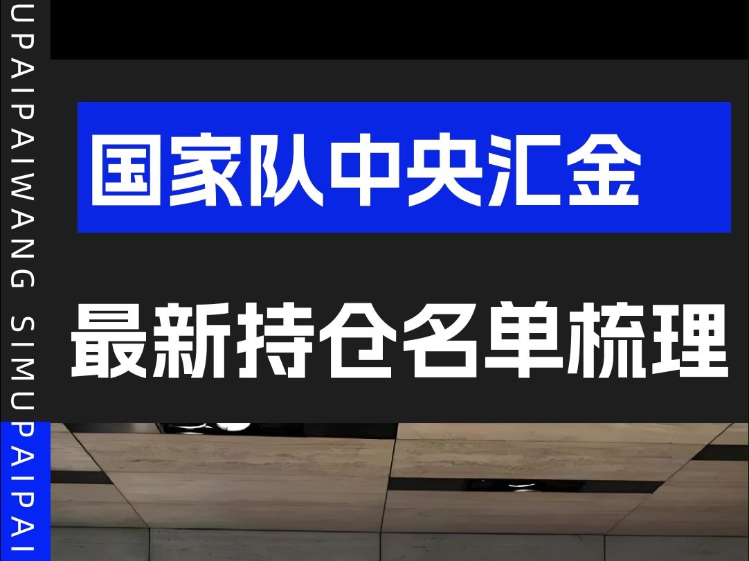 国家队中央汇金公司,最新持股名单梳理!哔哩哔哩bilibili