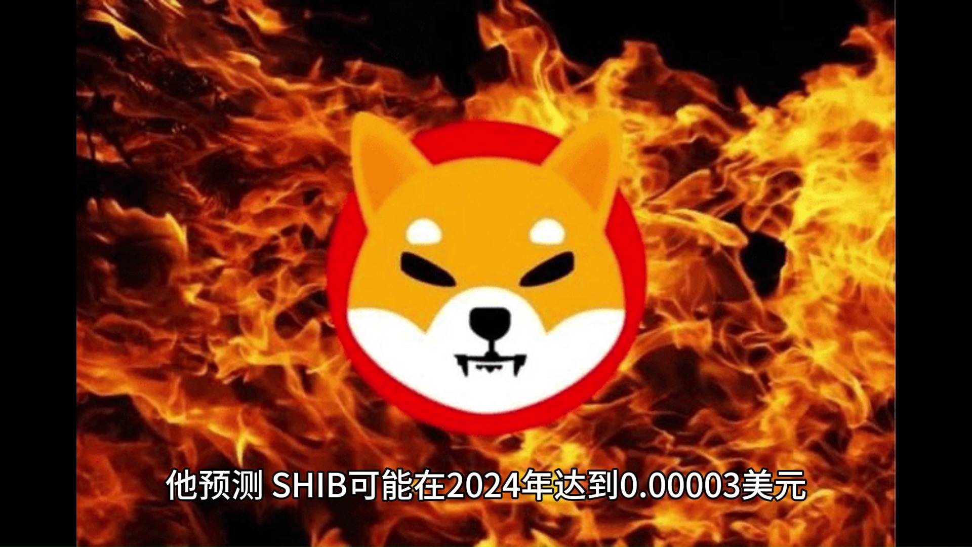 柴犬币销毁率大幅上涨超过400% ,是否即将突破?哔哩哔哩bilibili