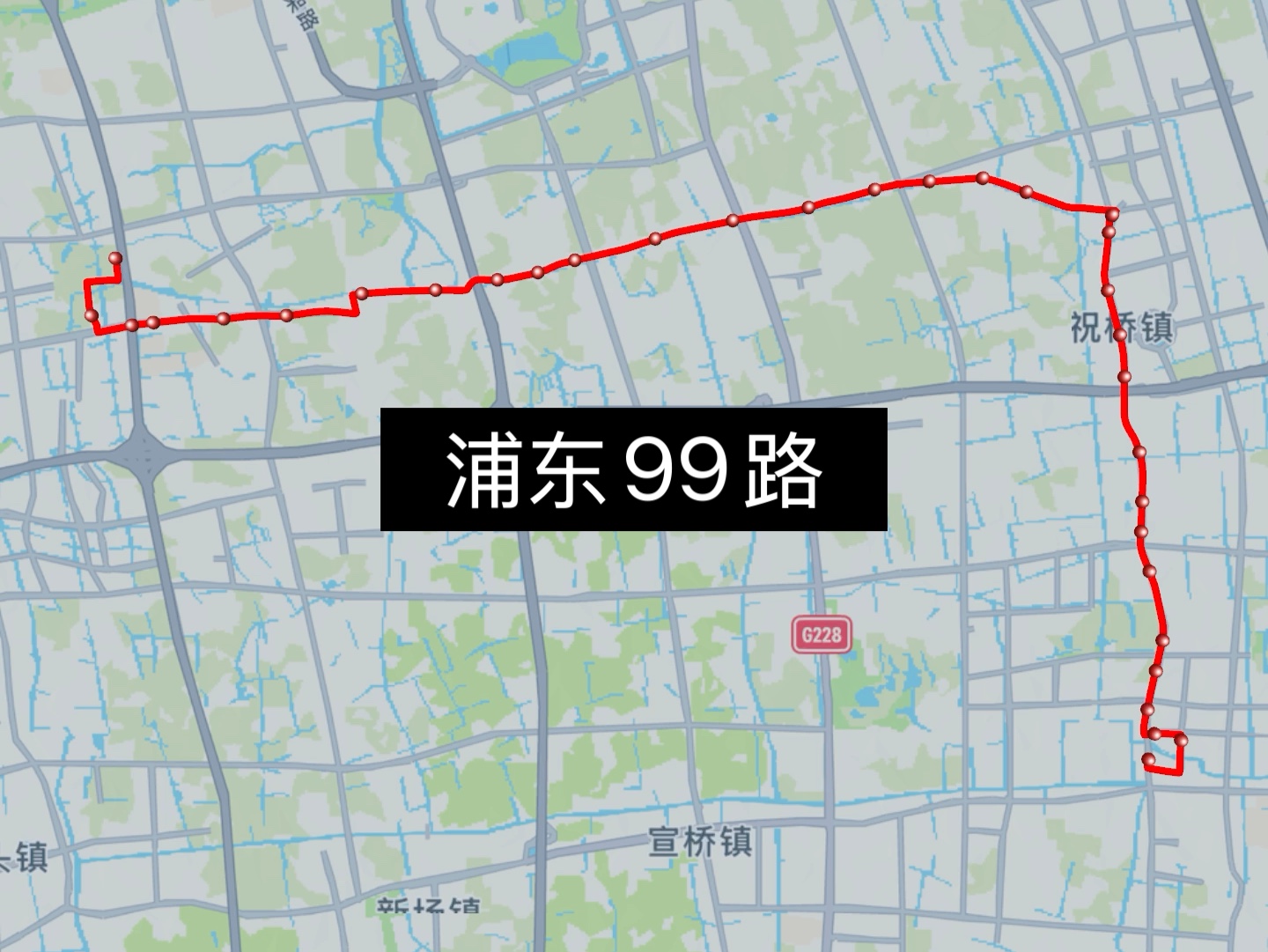 浦东99路 南汇方向
