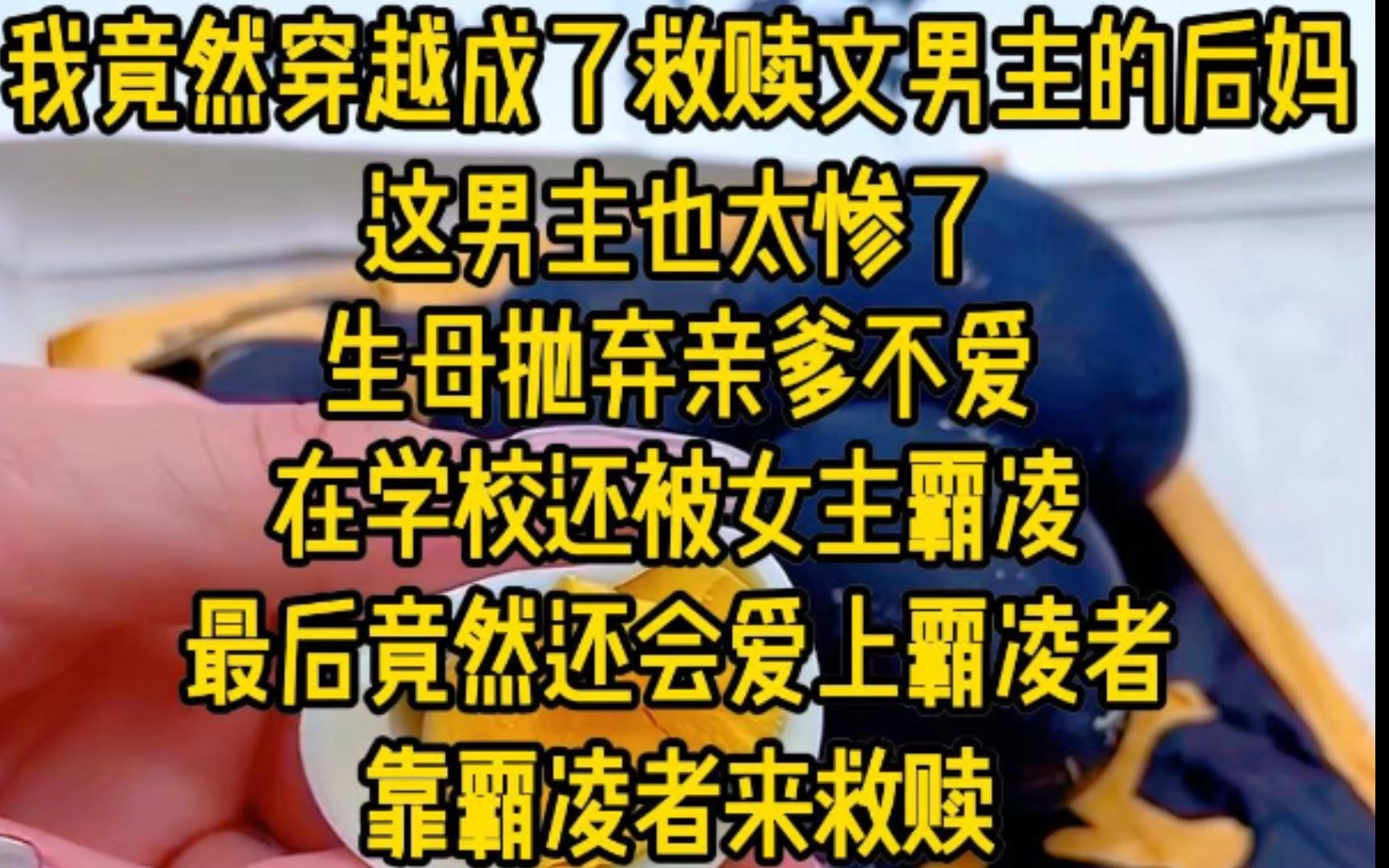 我竟然穿越成了救赎文男主的后妈,这男主也太惨了,生母抛弃,亲爹不爱,在学校还被女主霸凌,最后竟然还会爱上霸凌者,靠霸凌者来救赎哔哩哔哩...