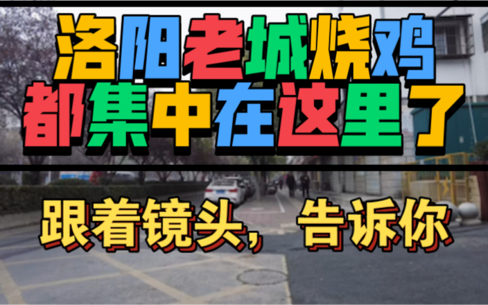 告诉你,洛阳老城这边的一条街,好吃的烧鸡都集中这里了,你知道不?哔哩哔哩bilibili