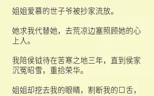 Скачать видео: 【完结文】姐姐爱慕的世子爷被抄家流放。她求我代替她，去荒凉边塞照顾她的心上人。我陪侯钺待在苦寒之地三年，直到侯家沉冤昭雪，重拾荣华。姐姐却挖去我的眼睛，割断我的