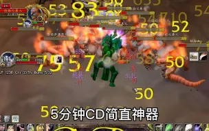 【老雷魔兽】狂暴战TAQ毛伤害，1秒1000AOE