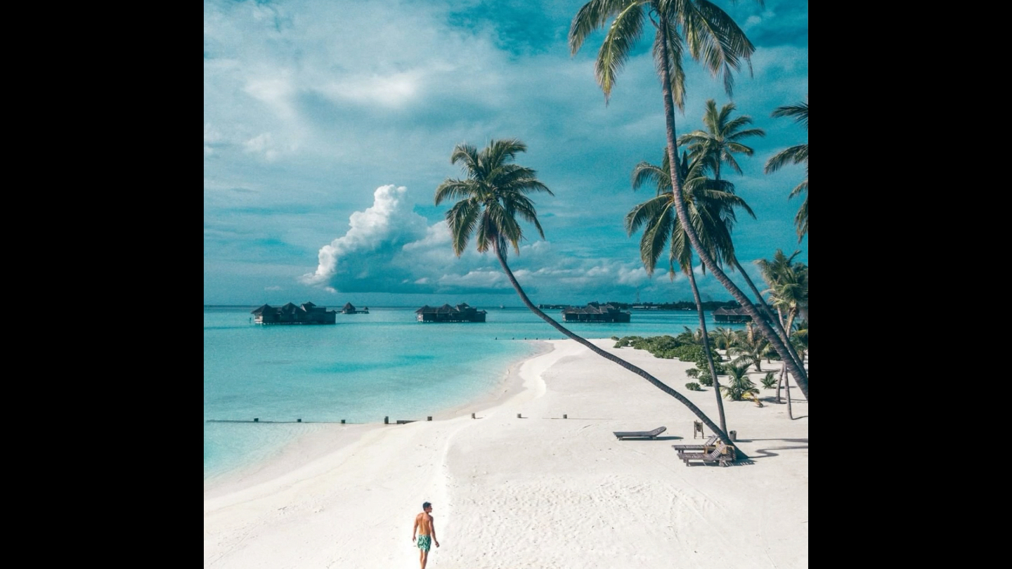 沙滩棕榈树久违的旅行放松心情愉快音乐beachmusicteafortwo惬意舒适