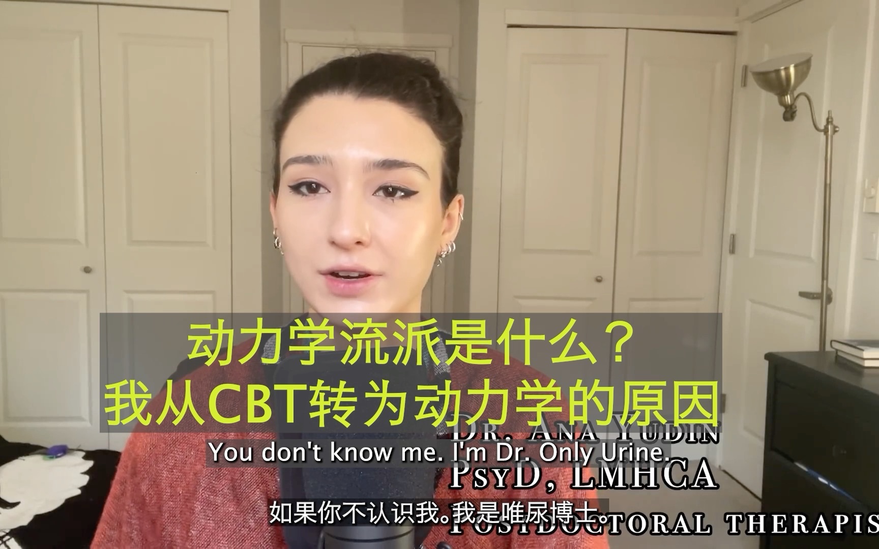 [图]【油管搬运】心理咨询动力学流派是什么？我为什么从CBT转为动力学 中英双语字幕