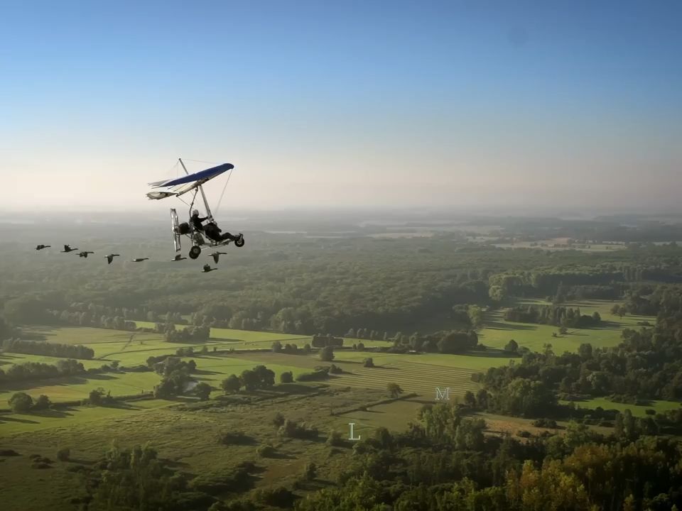 [图]【纪录片】候鸟的伟大旅程（Le Grand Voyage des Oiseaux Migrateurs）