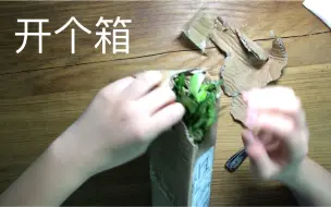 Download Video: 【开箱系列】开箱一棵九里香