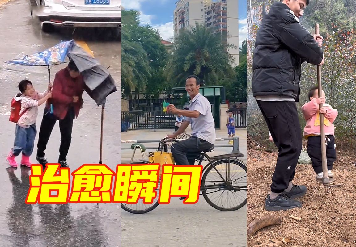 2024，愿我们被世界温柔以待