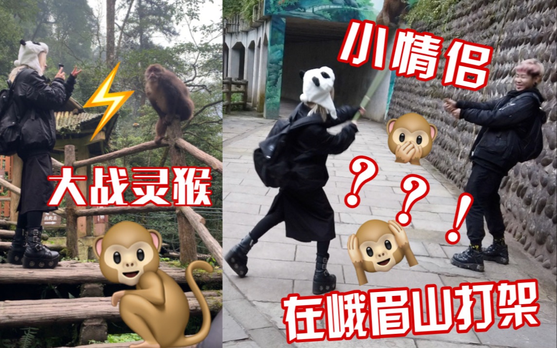 [图]【韩吉娜】VLOG峨眉山游记--情侣在山上大打出手？原来…传说中峨眉山的猴子竟然…？