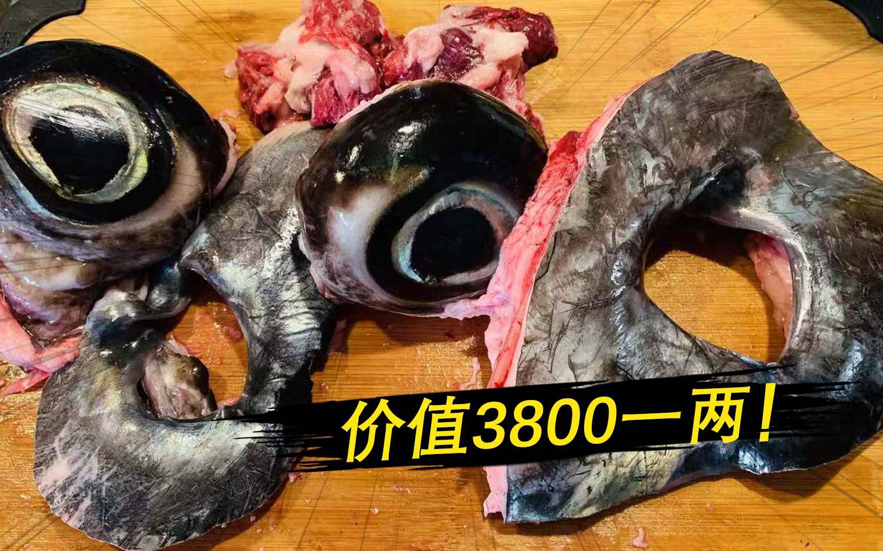 蓝鳍金枪的皇帝肉3800一两,海钓高手剃下十几斤,就不知怎么吃!哔哩哔哩bilibili