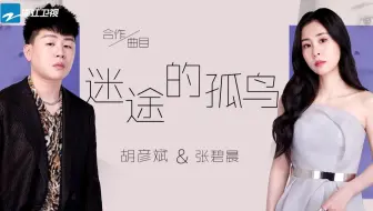 【天赐的声音】胡彦斌 张碧晨《迷途的孤鸟》