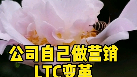 LTC咨询LTC流程LTC培训华为许浩明老师分享实战经验哔哩哔哩bilibili