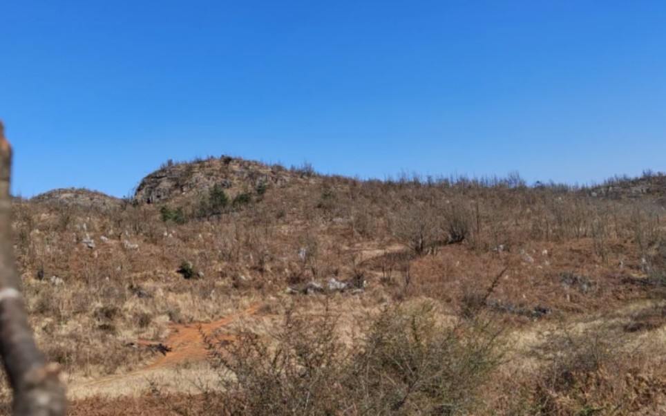 山河分析深山中的地形,金星開窩結地蓮花瓣,左砂轉案圍欄成局