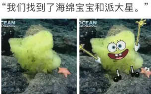 Descargar video: 现实版“海绵宝宝和派大星”在大西洋被发现   知道真相后无法直视……