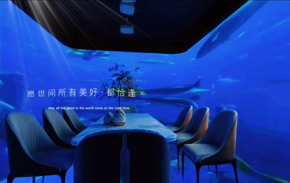 沉浸式全息投影Ⅱ把投影仪搬到餐厅,感受身临其境的用餐体验.