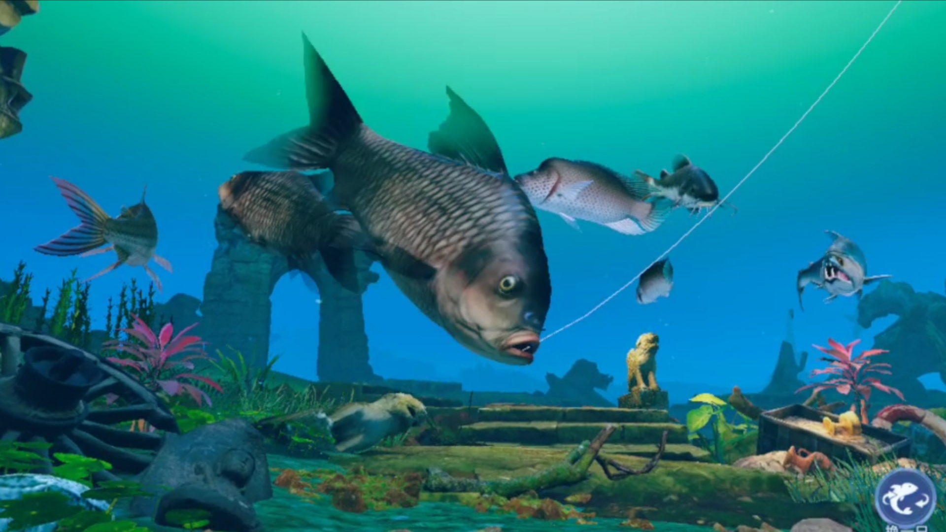 钓鱼大对决新国服,憨厚的巨暹罗鲤