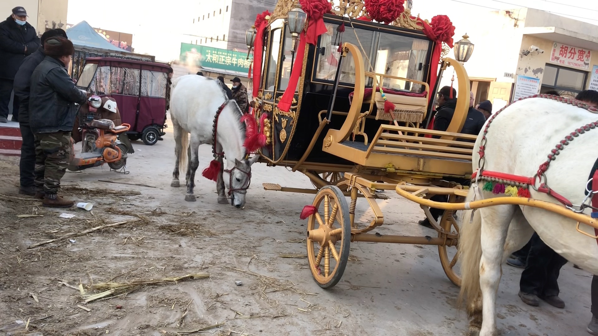 环保欧式马车配上大白马价值18万,乘坐一次10元,带大家看看去