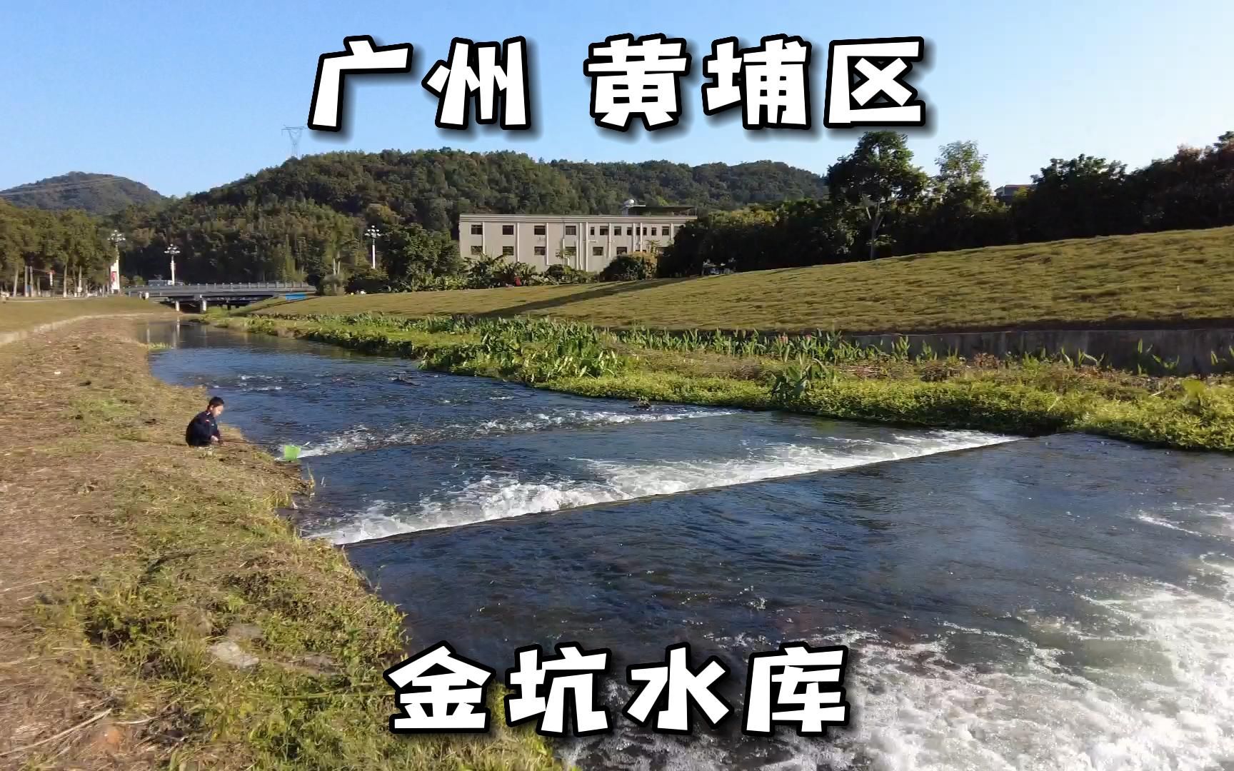 广州黄埔区金坑水库 这里有草坪清澈溪流 溪流边搭帐篷露营抓小鱼哔哩哔哩bilibili