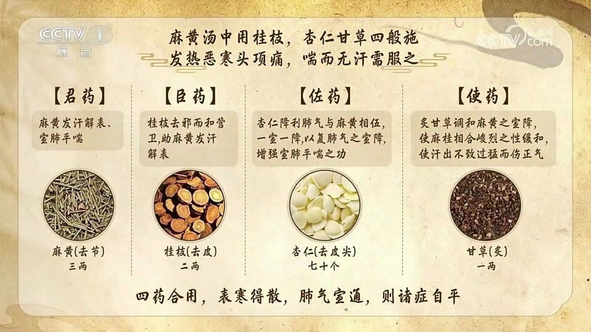 中医方剂配伍原则——"君臣佐使"