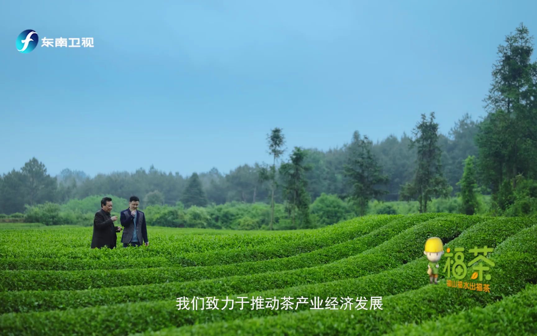 [图]《福山福水出福茶》梦园牌绿茶