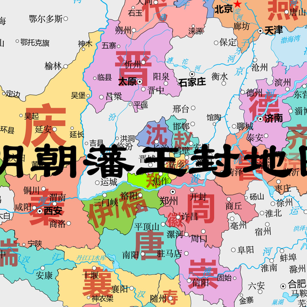 藩王馬圖 ARTISANAL WIDE PANTS 90年代米軍デッドストックのチョコチップ