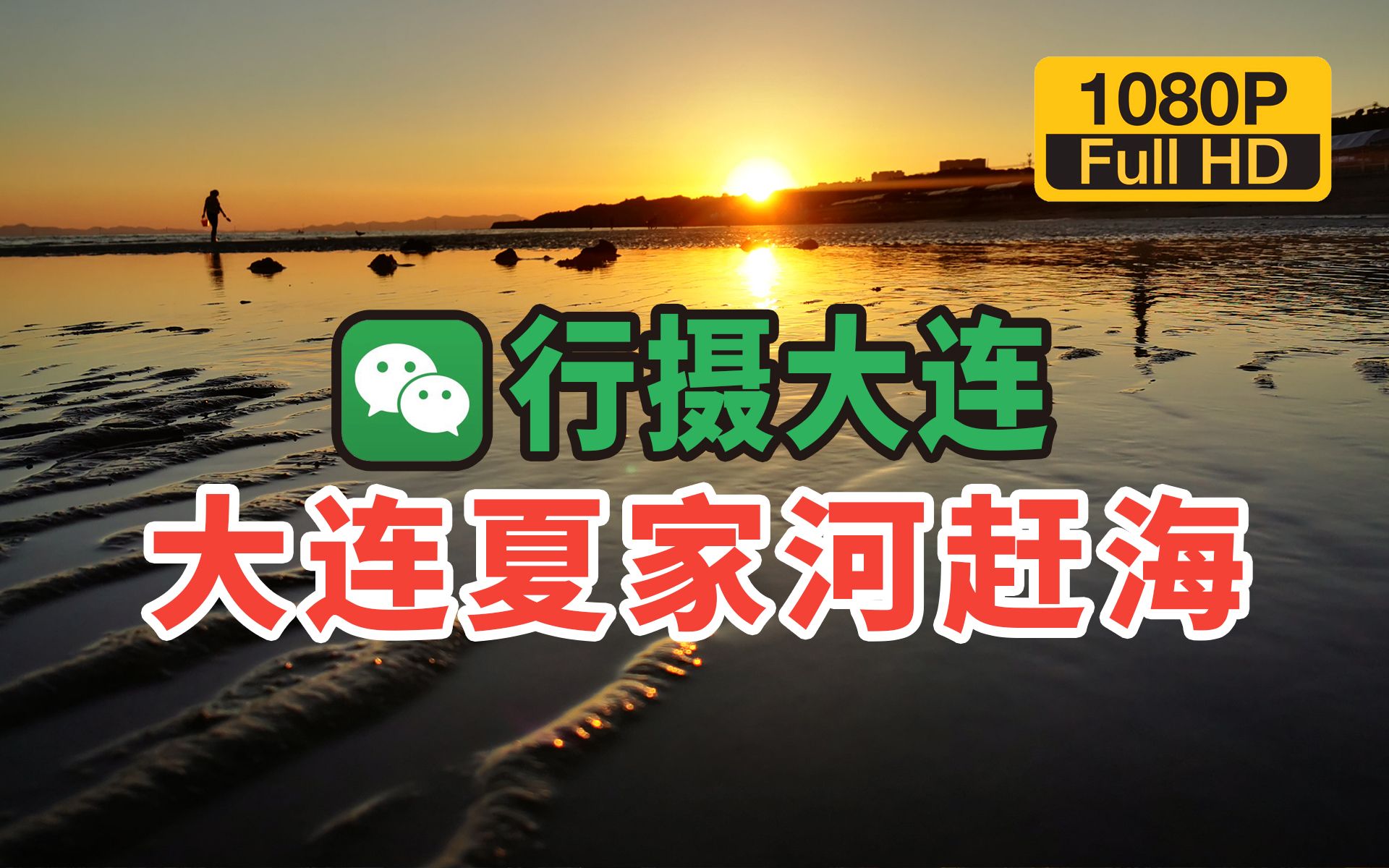 「户外」大连夏家河赶海哔哩哔哩bilibili