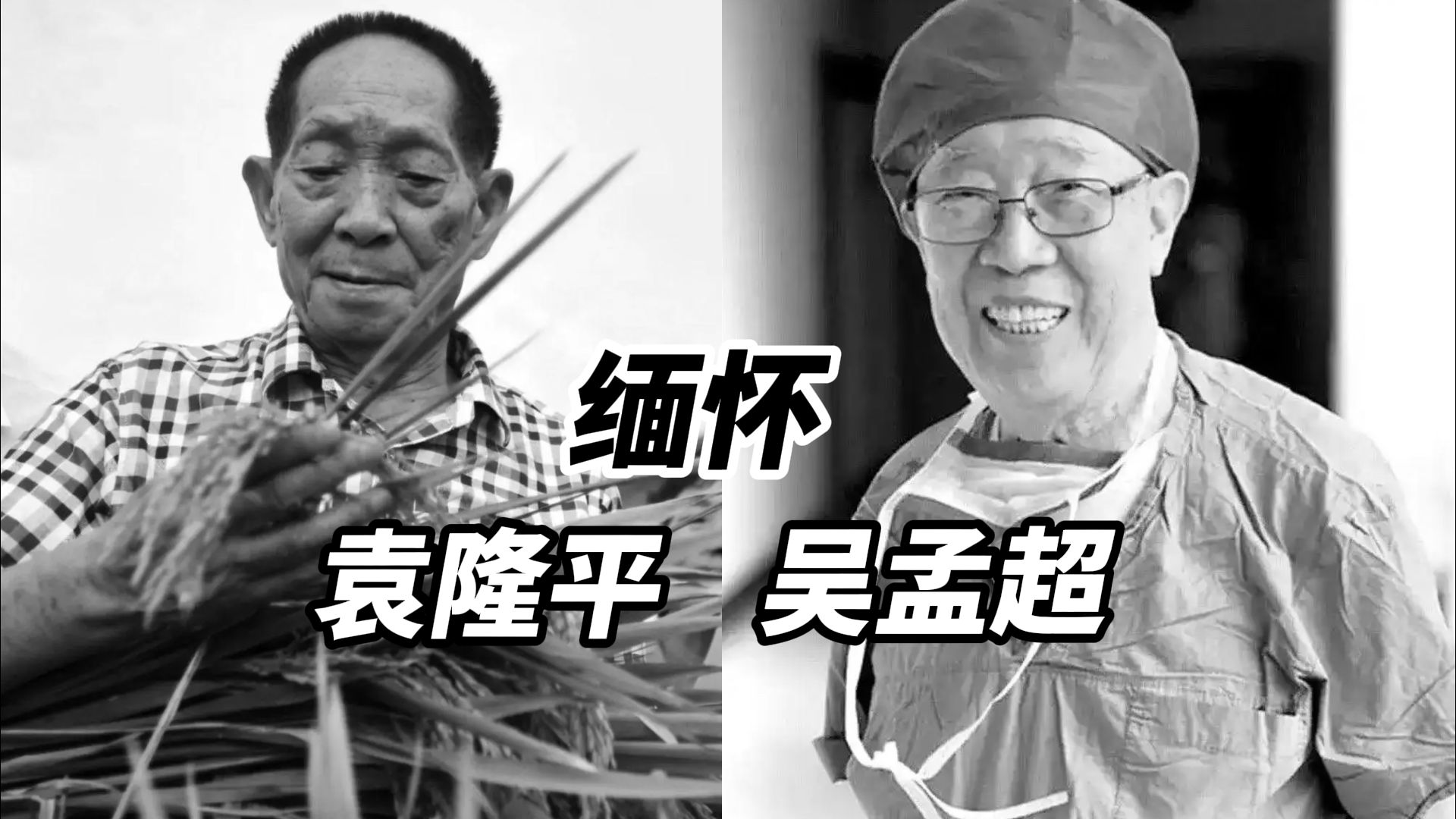 5年前的5月22日，双星陨落！共和国痛失两位院士，请停留10秒为袁隆平、吴孟超各献一束花