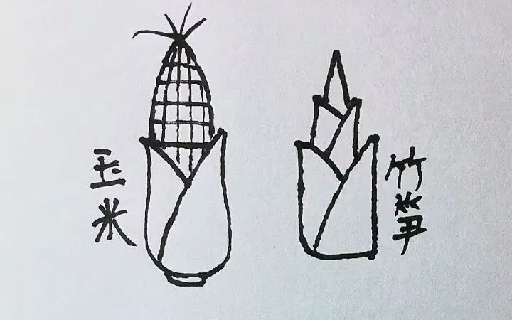 【简笔画】用字母Y画四种植物哔哩哔哩bilibili