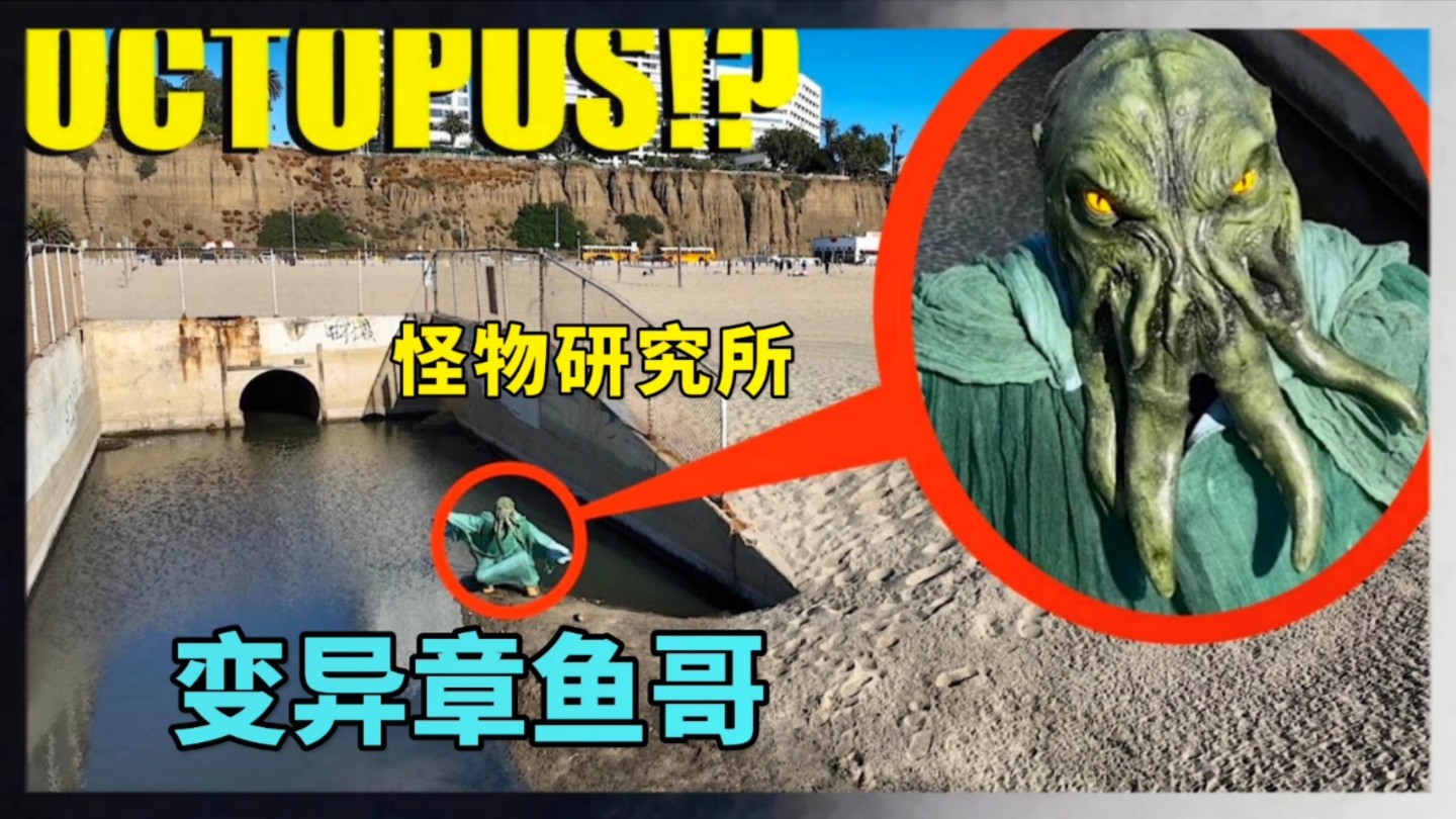 核废水导致章鱼哥变异,我要把他抓回怪物研究所