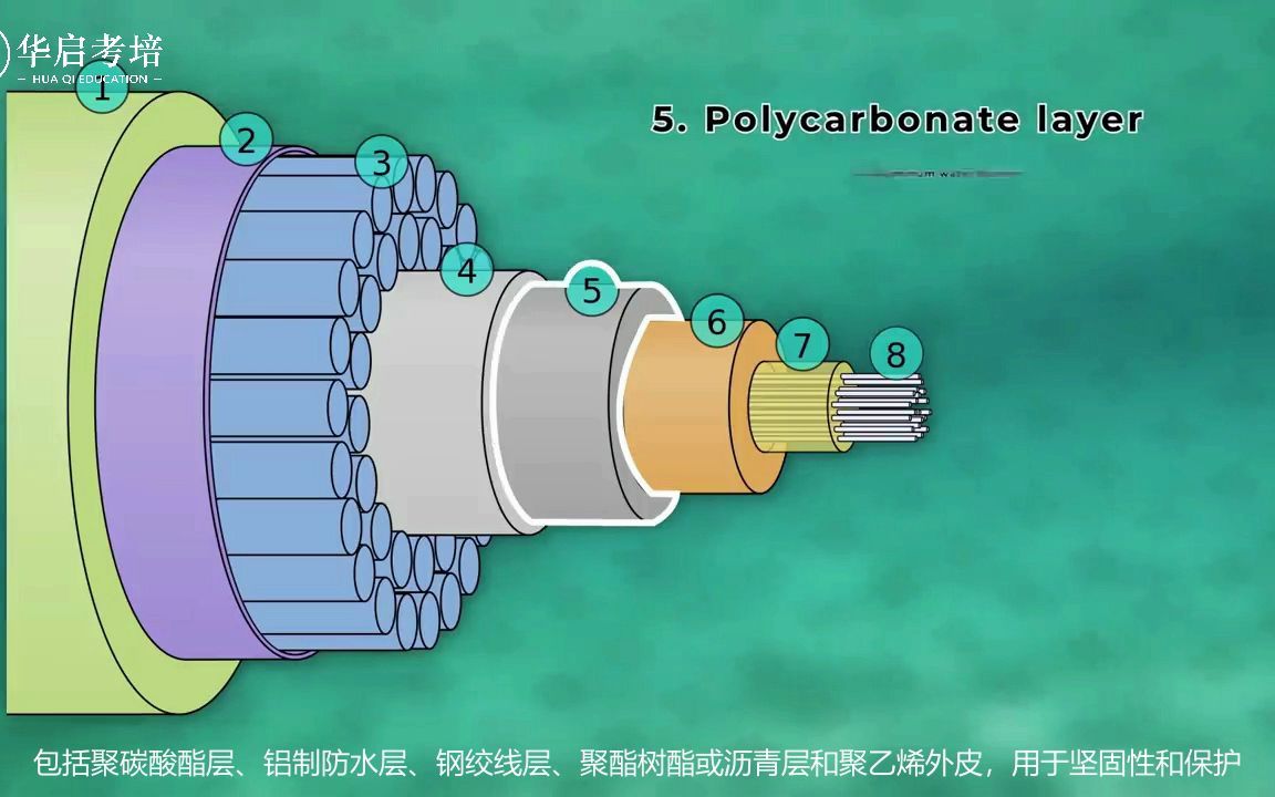 科普|海底电缆+哔哩哔哩bilibili