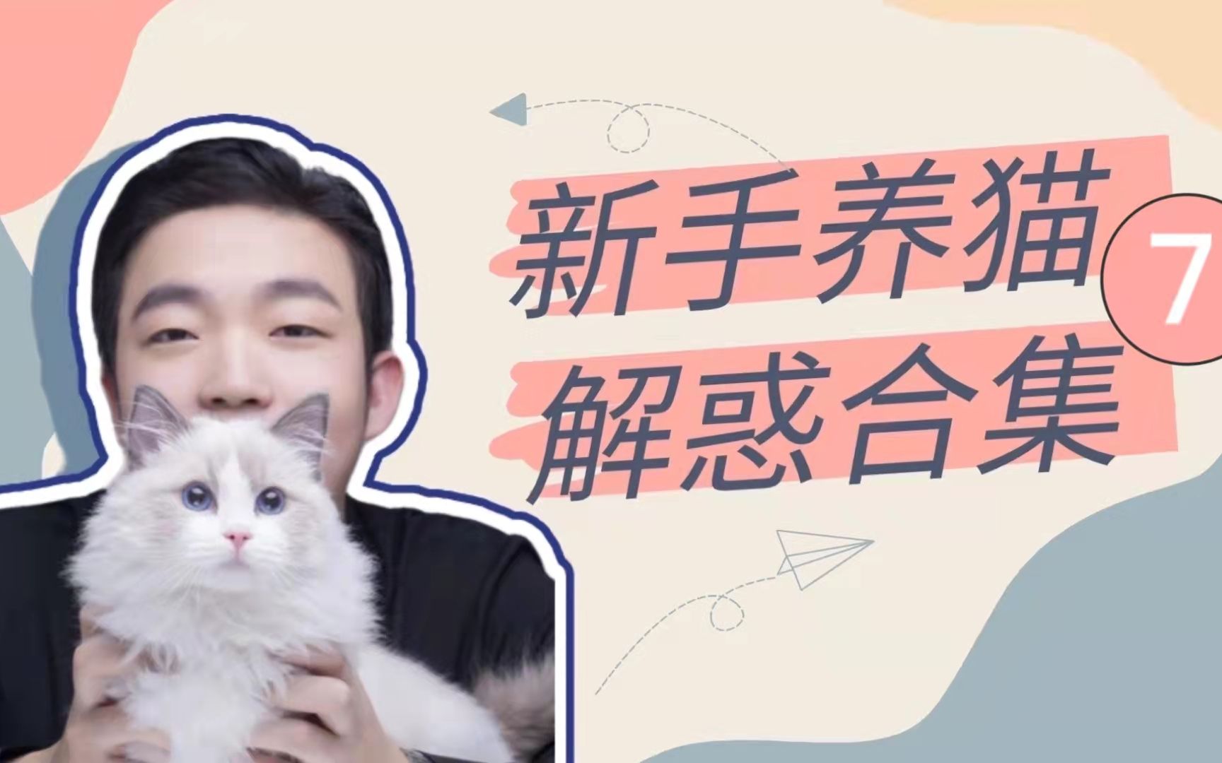 新手养猫解惑合集（7）