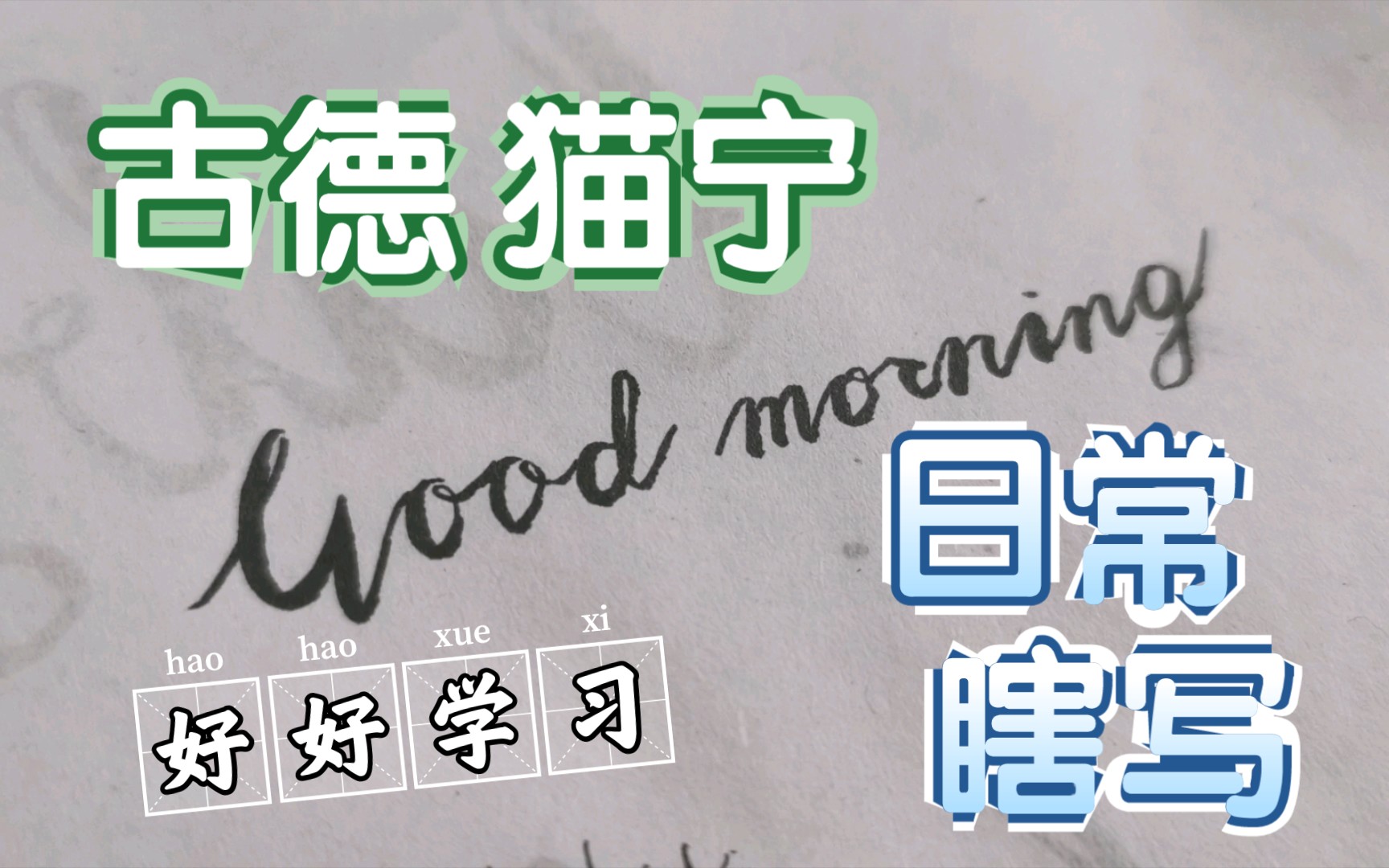 古德猫宁