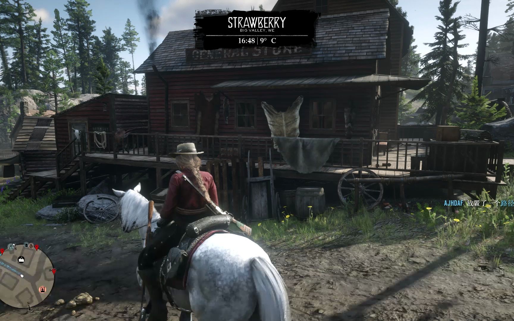 荒野大镖客2:草莓镇杂货铺