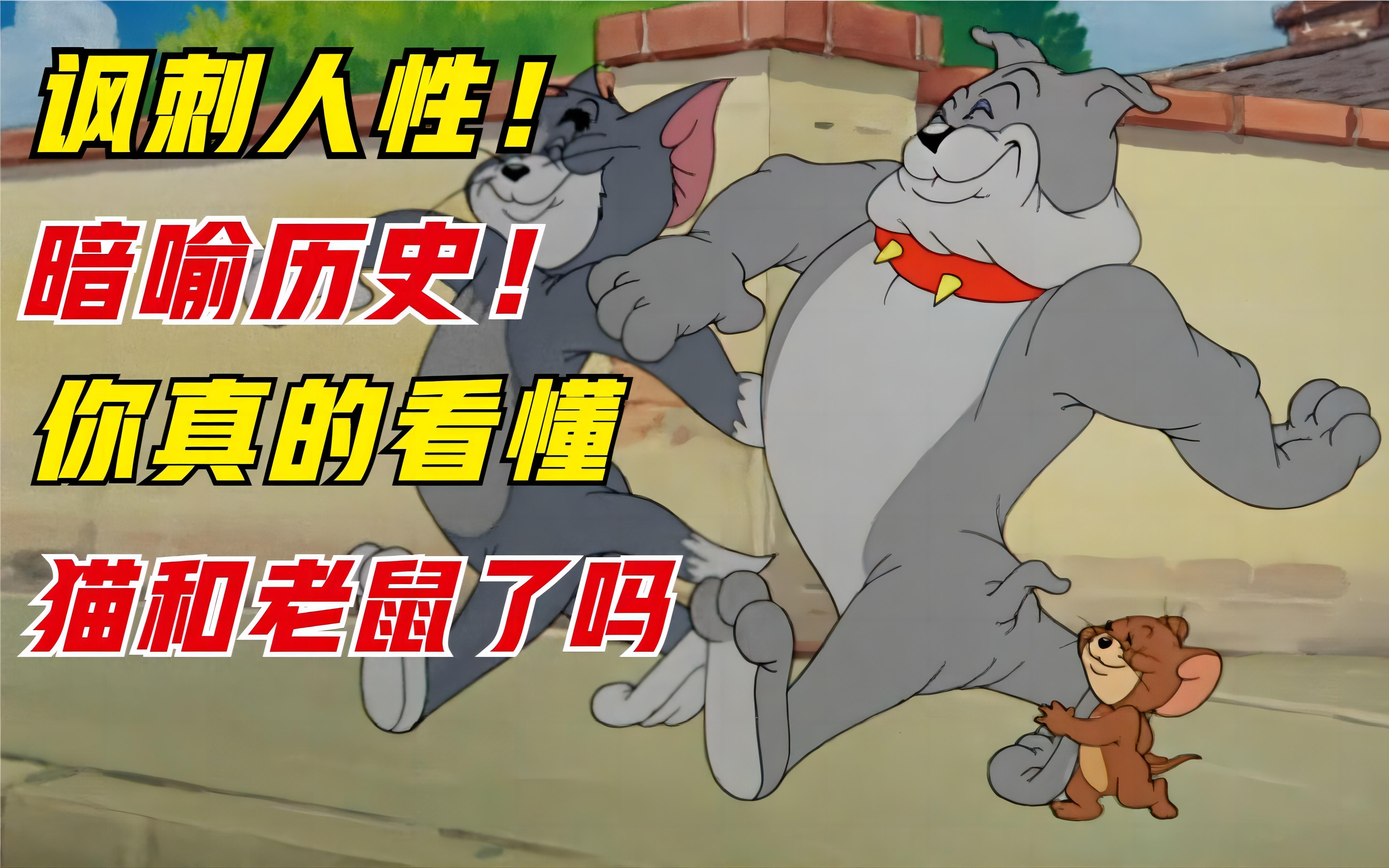 你真的看懂猫和老鼠了吗