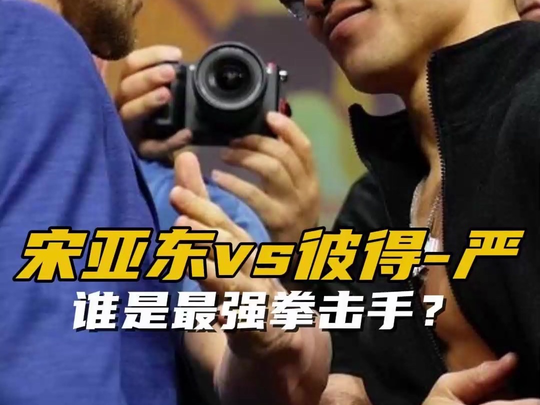 宋亚东vs彼得严对视