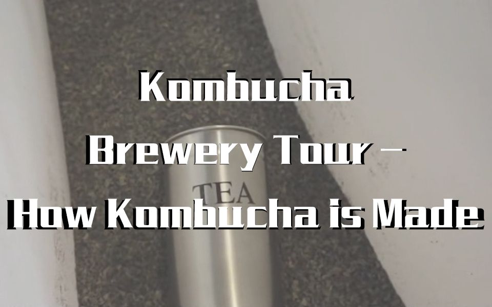 【KOMBUCHA康普茶】康普茶科普小课堂开课啦!带您再次探访康普茶酿造厂,一起康康康普茶是怎么制作的吧~哔哩哔哩bilibili