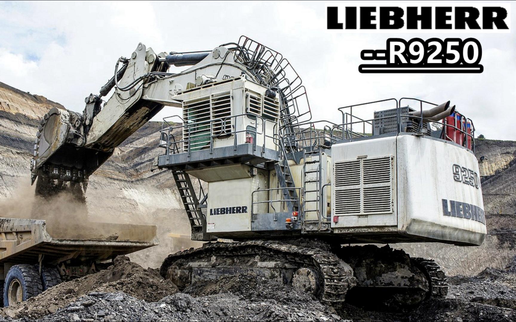 21精品):利勃海尔r9250 250吨级矿山型反铲式液压履带挖掘机详细性能