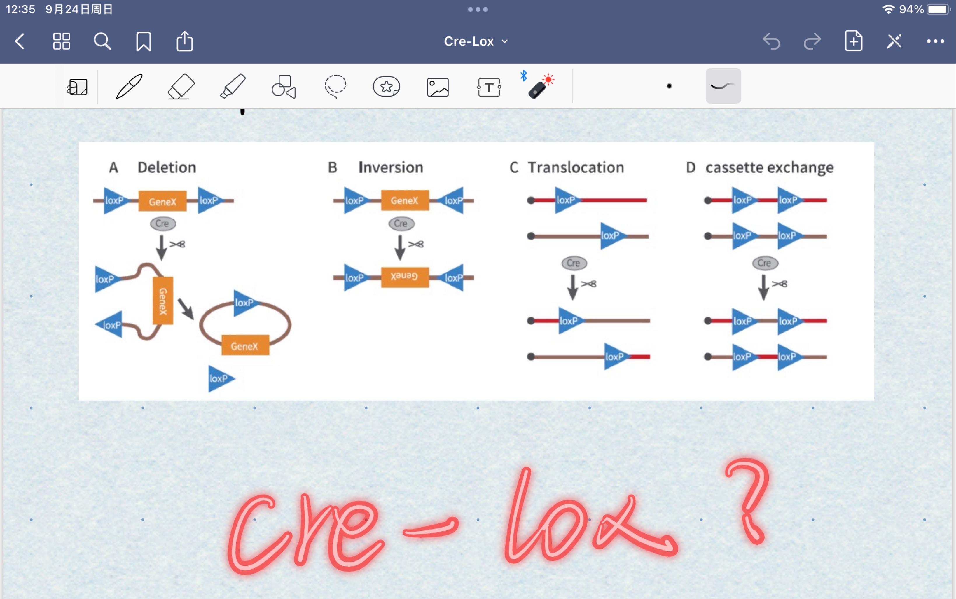 crelox系统是怎么作用的?哔哩哔哩bilibili