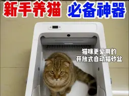 懒人养猫法宝！解放双手尊嘟不是难题