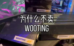 Download Video: 为什么不推荐wooting