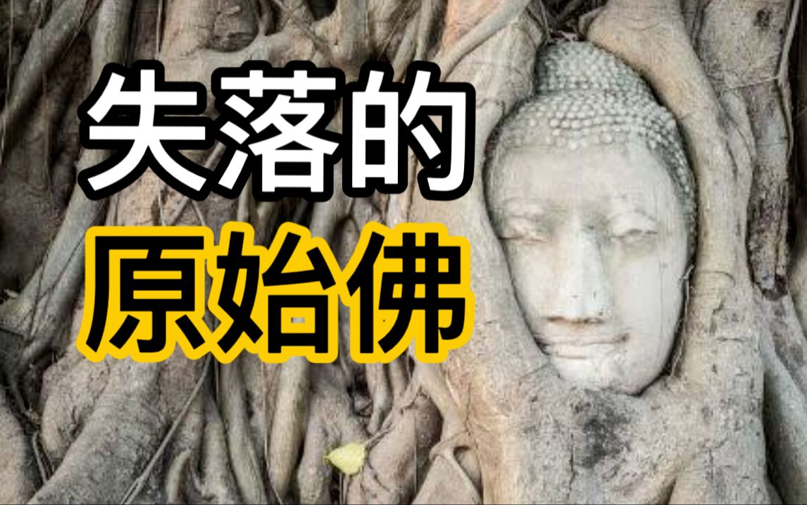 [图]《佛法溯源》2500年前，失落的原始佛法